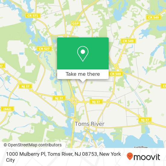 1000 Mulberry Pl, Toms River, NJ 08753 map