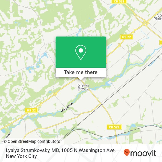 Lyalya Strumkovsky, MD, 1005 N Washington Ave map