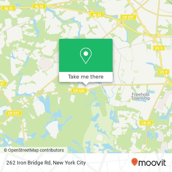 Mapa de 262 Iron Bridge Rd, Freehold, NJ 07728