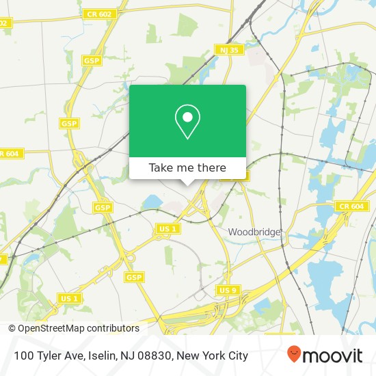 Mapa de 100 Tyler Ave, Iselin, NJ 08830