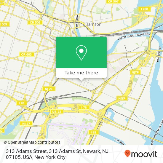 Mapa de 313 Adams Street, 313 Adams St, Newark, NJ 07105, USA