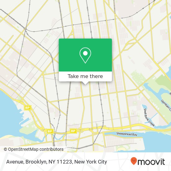 Mapa de Avenue, Brooklyn, NY 11223