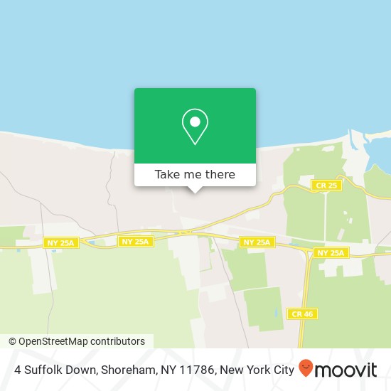 4 Suffolk Down, Shoreham, NY 11786 map
