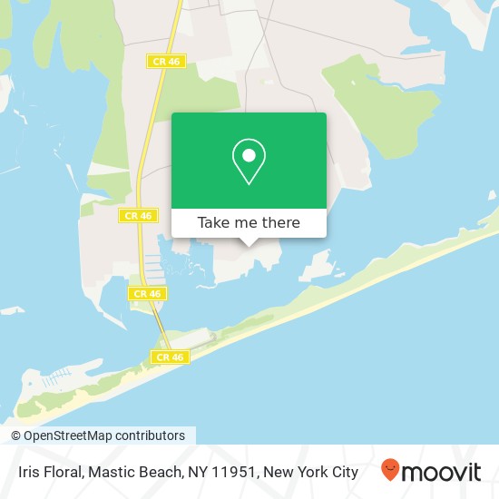 Mapa de Iris Floral, Mastic Beach, NY 11951
