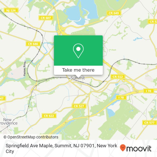 Springfield Ave Maple, Summit, NJ 07901 map
