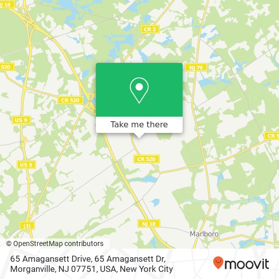 65 Amagansett Drive, 65 Amagansett Dr, Morganville, NJ 07751, USA map