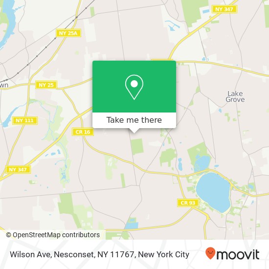 Wilson Ave, Nesconset, NY 11767 map