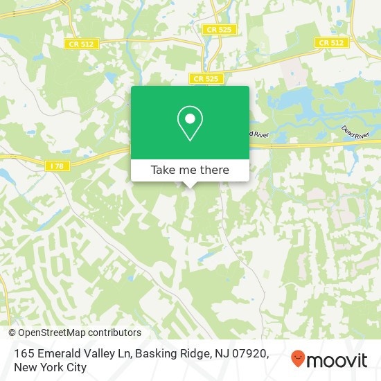 165 Emerald Valley Ln, Basking Ridge, NJ 07920 map