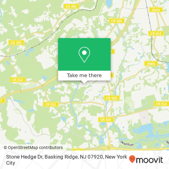 Mapa de Stone Hedge Dr, Basking Ridge, NJ 07920