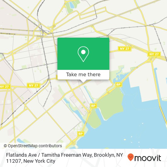 Flatlands Ave / Tamitha Freeman Way, Brooklyn, NY 11207 map