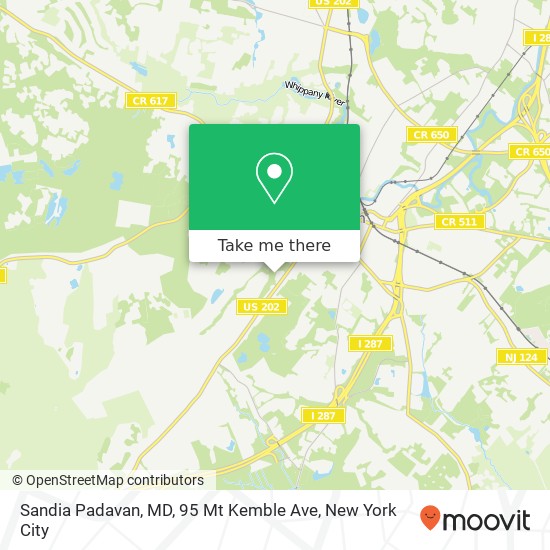 Sandia Padavan, MD, 95 Mt Kemble Ave map