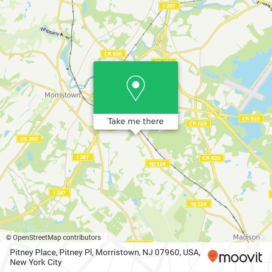 Pitney Place, Pitney Pl, Morristown, NJ 07960, USA map