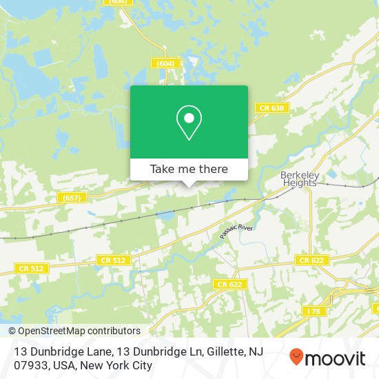 Mapa de 13 Dunbridge Lane, 13 Dunbridge Ln, Gillette, NJ 07933, USA