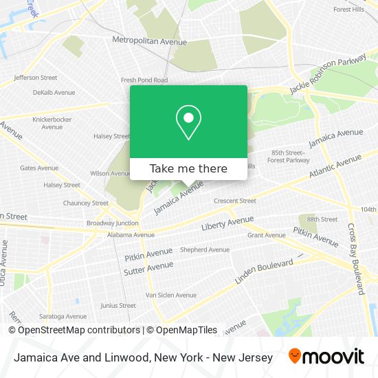 Jamaica Ave and Linwood map