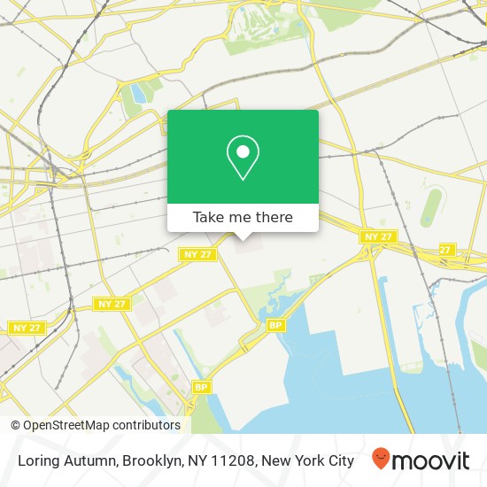 Mapa de Loring Autumn, Brooklyn, NY 11208