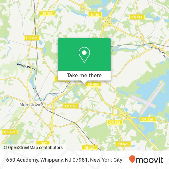 650 Academy, Whippany, NJ 07981 map