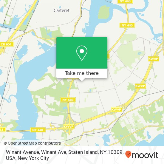 Winant Avenue, Winant Ave, Staten Island, NY 10309, USA map