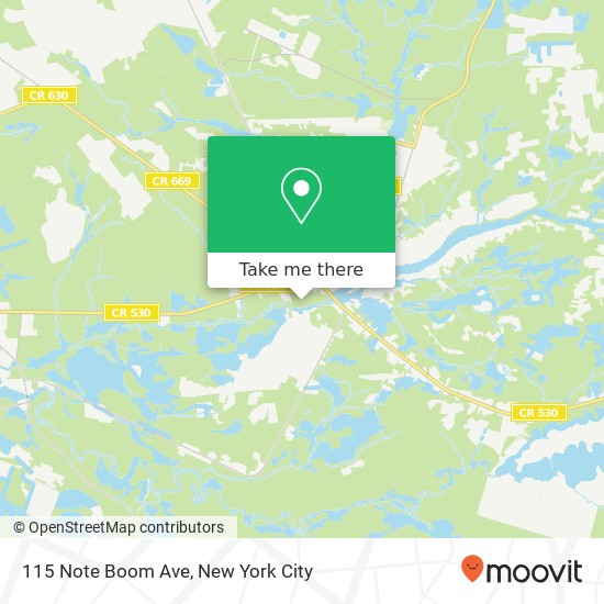 115 Note Boom Ave, Browns Mills, NJ 08015 map