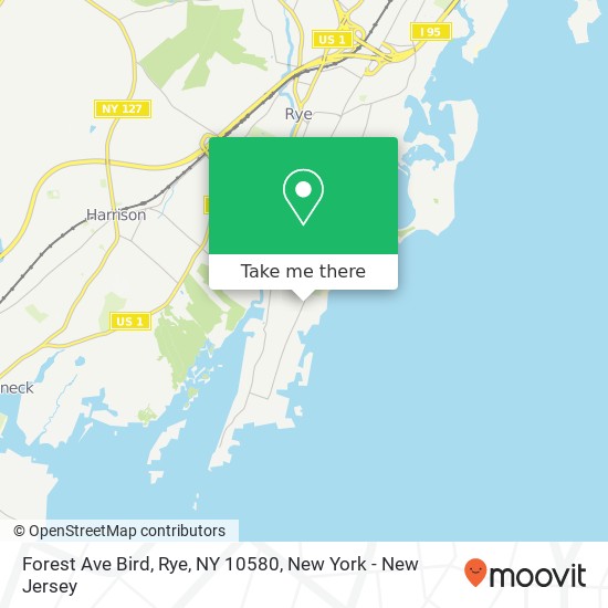 Forest Ave Bird, Rye, NY 10580 map