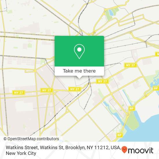 Watkins Street, Watkins St, Brooklyn, NY 11212, USA map