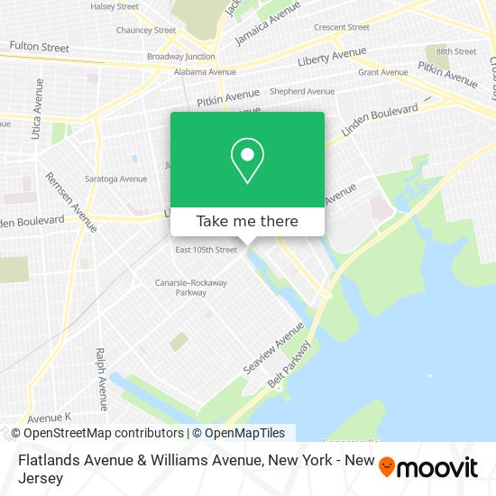 Flatlands Avenue & Williams Avenue map