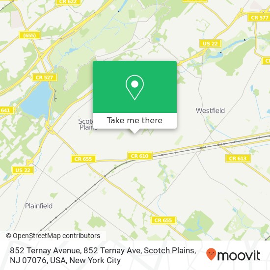 852 Ternay Avenue, 852 Ternay Ave, Scotch Plains, NJ 07076, USA map