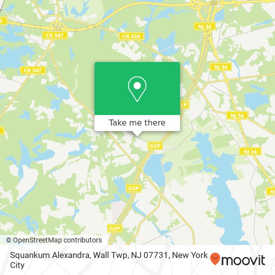 Squankum Alexandra, Wall Twp, NJ 07731 map