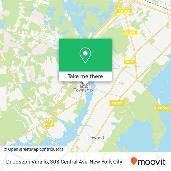 Mapa de Dr Joseph Varallo, 303 Central Ave