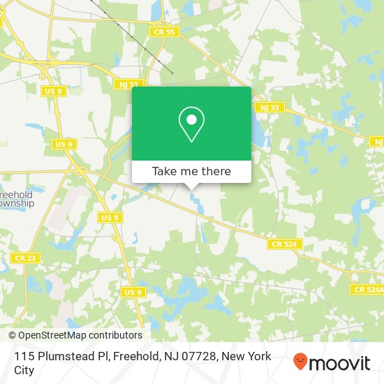 Mapa de 115 Plumstead Pl, Freehold, NJ 07728