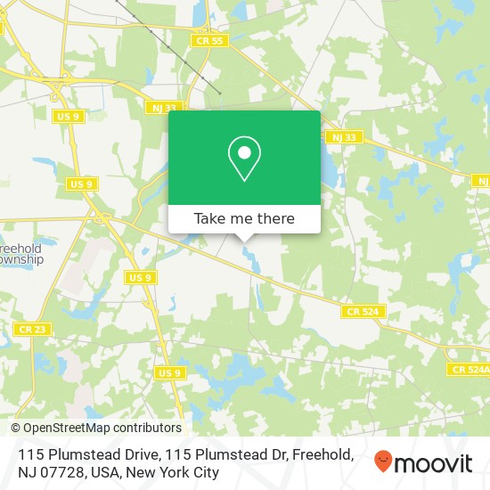 Mapa de 115 Plumstead Drive, 115 Plumstead Dr, Freehold, NJ 07728, USA