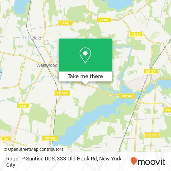 Roger P Santise DDS, 333 Old Hook Rd map