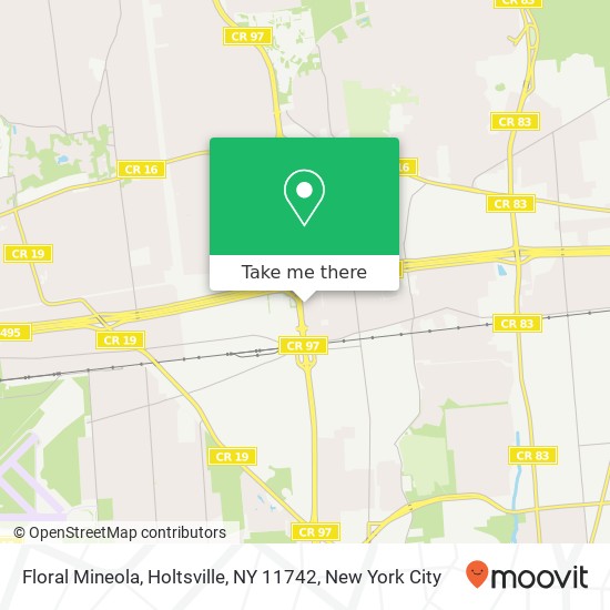 Mapa de Floral Mineola, Holtsville, NY 11742