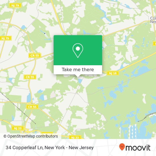 34 Copperleaf Ln, Colts Neck, NJ 07722 map