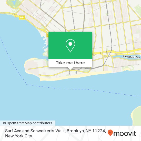 Mapa de Surf Ave and Schweikerts Walk, Brooklyn, NY 11224