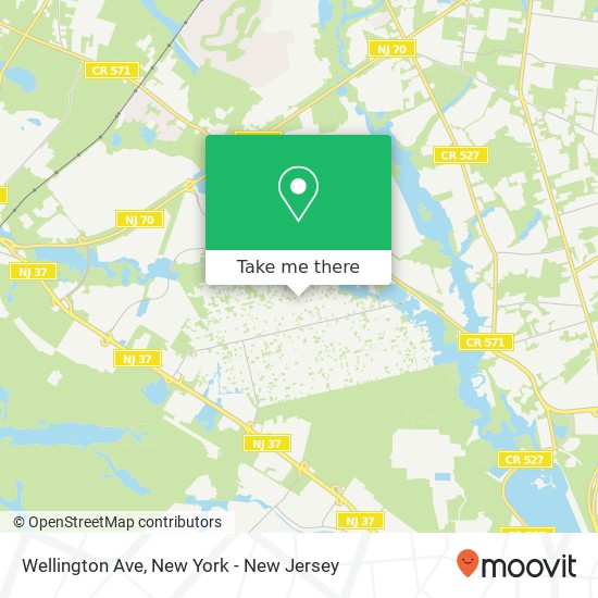 Mapa de Wellington Ave, Toms River, NJ 08757