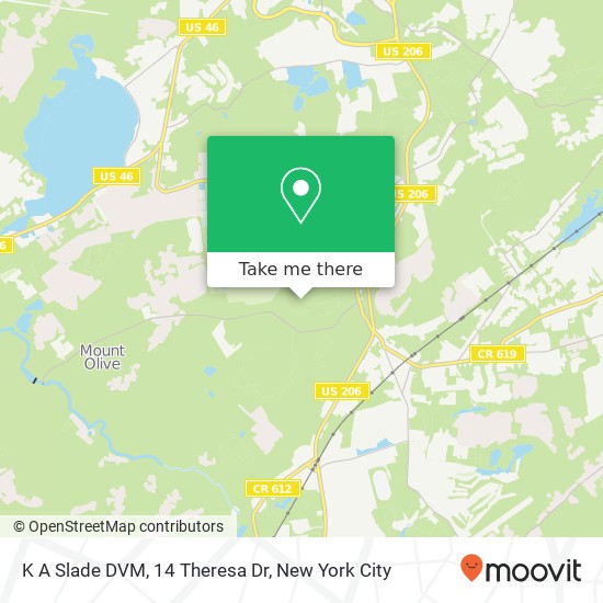 K A Slade DVM, 14 Theresa Dr map