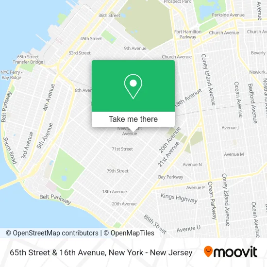 65th Street & 16th Avenue map