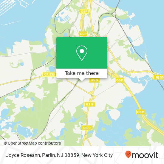Mapa de Joyce Roseann, Parlin, NJ 08859