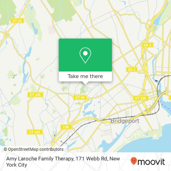 Amy Laroche Family Therapy, 171 Webb Rd map