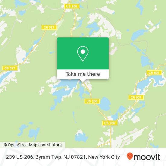 Mapa de 239 US-206, Byram Twp, NJ 07821