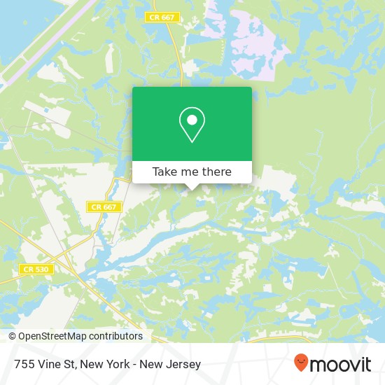 Mapa de 755 Vine St, Browns Mills, NJ 08015