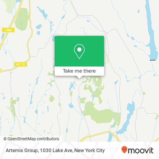 Mapa de Artemis Group, 1030 Lake Ave