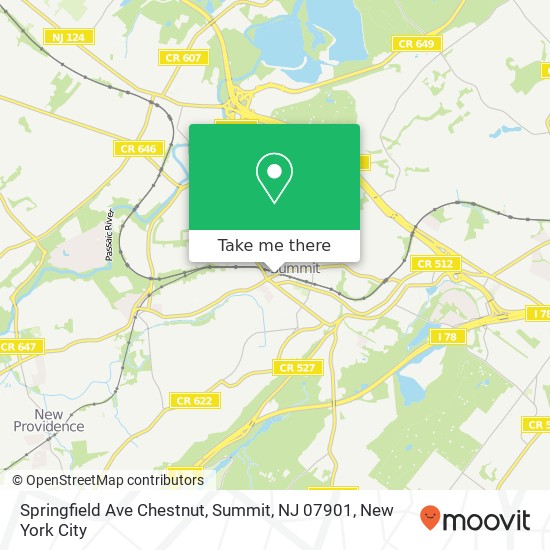 Mapa de Springfield Ave Chestnut, Summit, NJ 07901