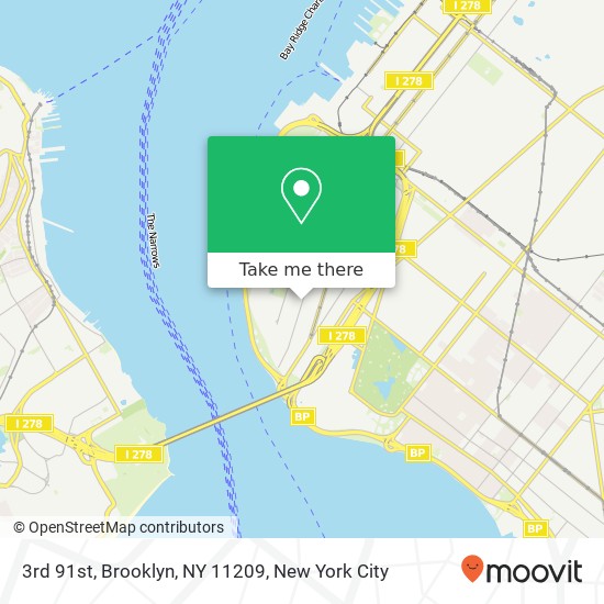 3rd 91st, Brooklyn, NY 11209 map