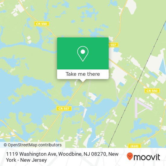 1119 Washington Ave, Woodbine, NJ 08270 map