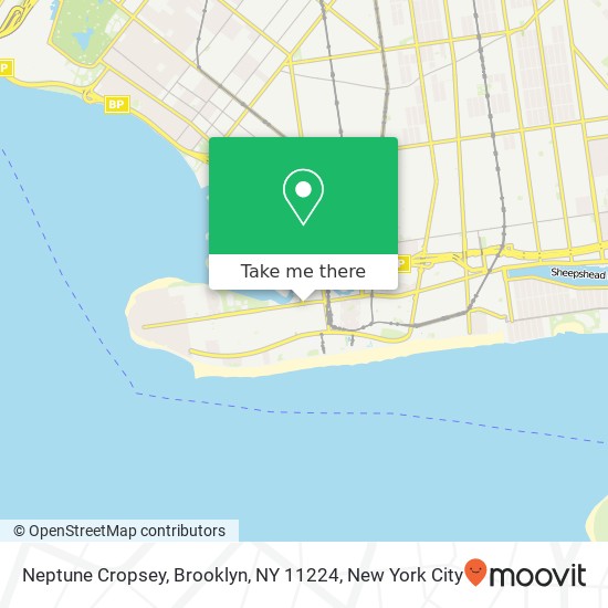 Neptune Cropsey, Brooklyn, NY 11224 map