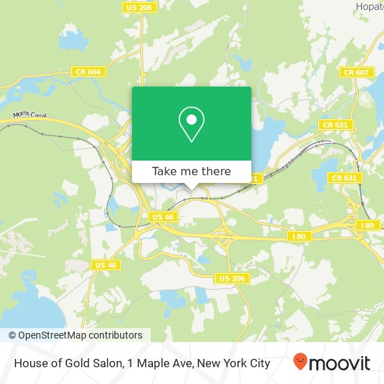 Mapa de House of Gold Salon, 1 Maple Ave