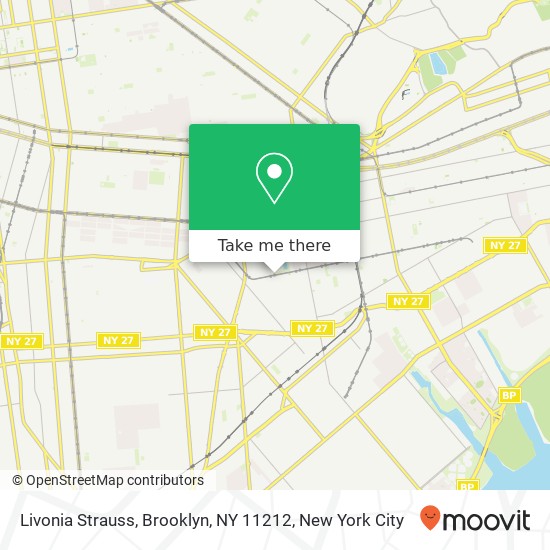 Livonia Strauss, Brooklyn, NY 11212 map