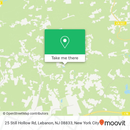 25 Still Hollow Rd, Lebanon, NJ 08833 map