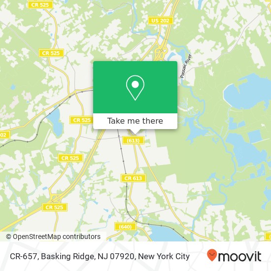 Mapa de CR-657, Basking Ridge, NJ 07920